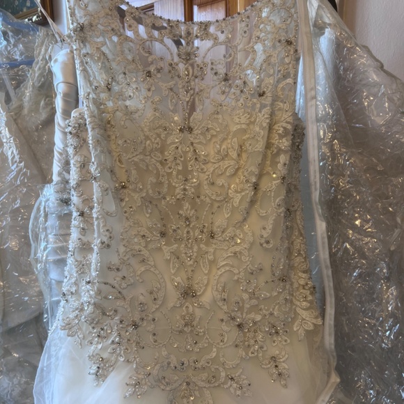 Wedding Gowns - Picture 9 of 11